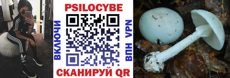 как найти наркотики OMG рабочий сайт Псилоцибиновые грибы Magic Shrooms Торжок